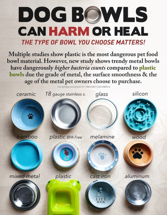 🦠 Are Your Pet’s Bowls a Bacterial Hotspot