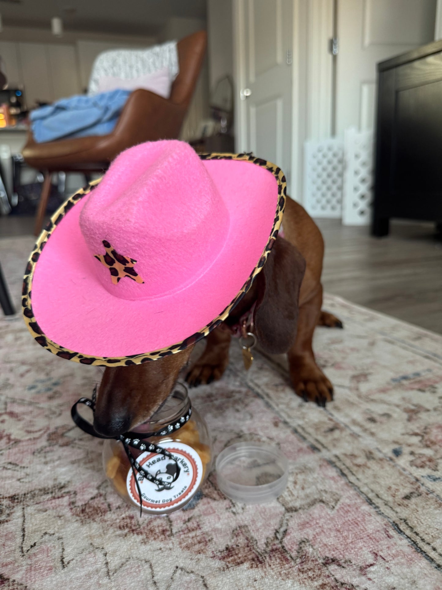 Cheddar Cheese Dog Treats – “Goldfish” Inspired Dog Bites