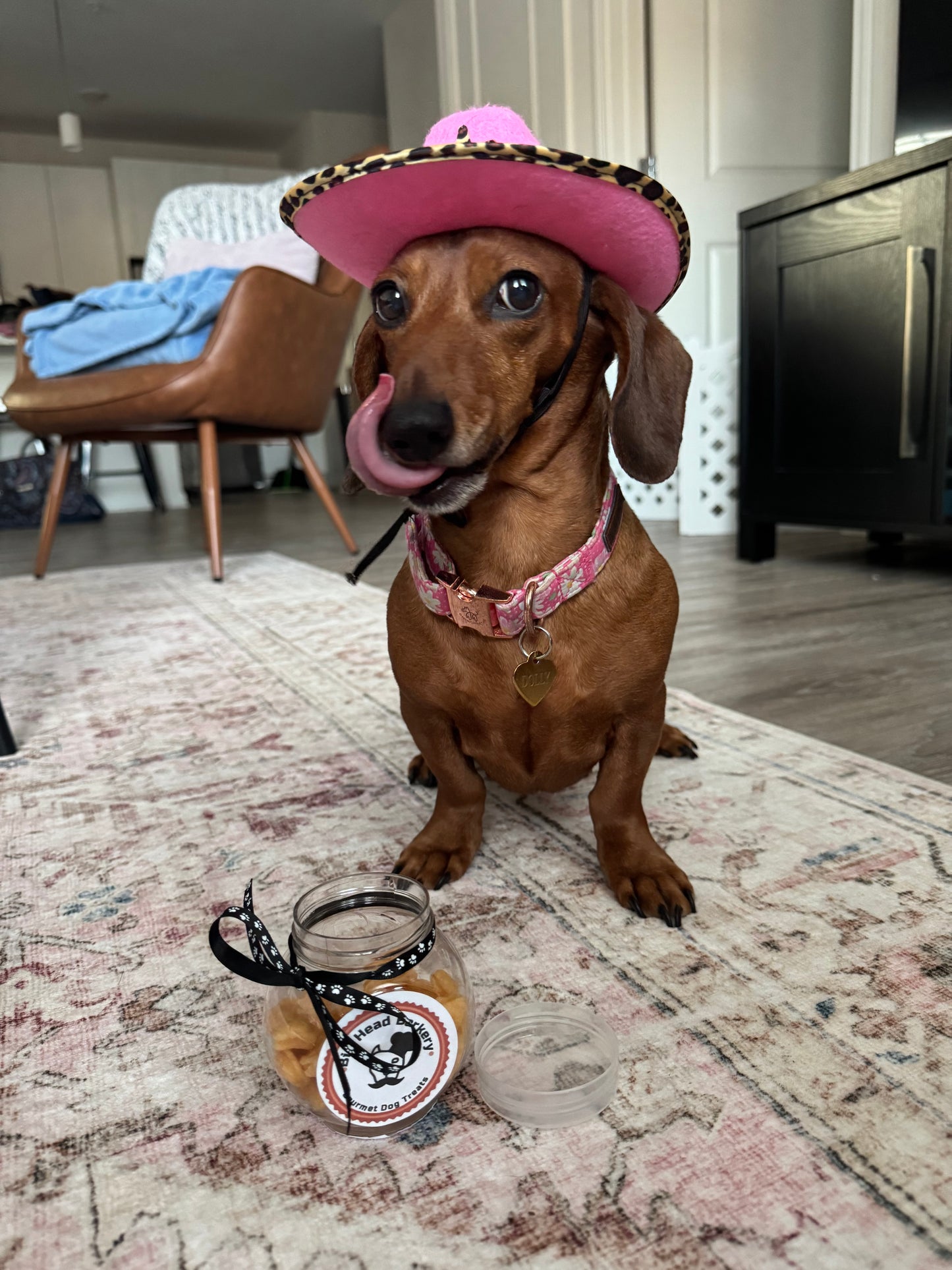 Cheddar Cheese Dog Treats – “Goldfish” Inspired Dog Bites