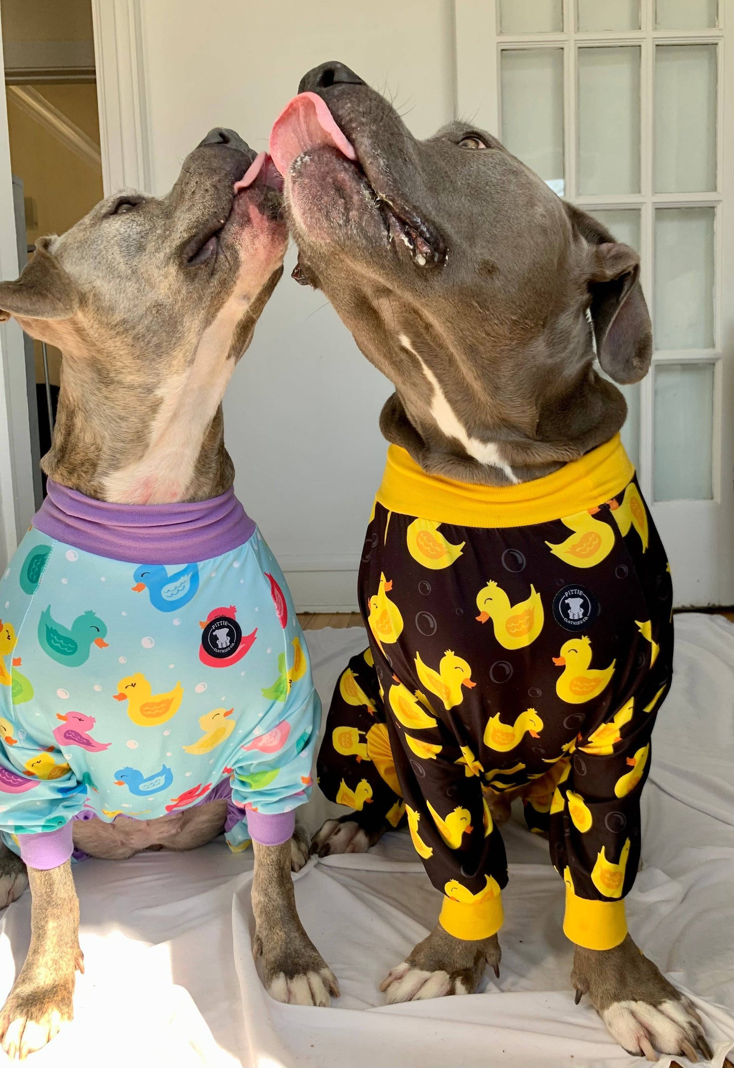 So Ducking Cute Dog Pajamas – Black