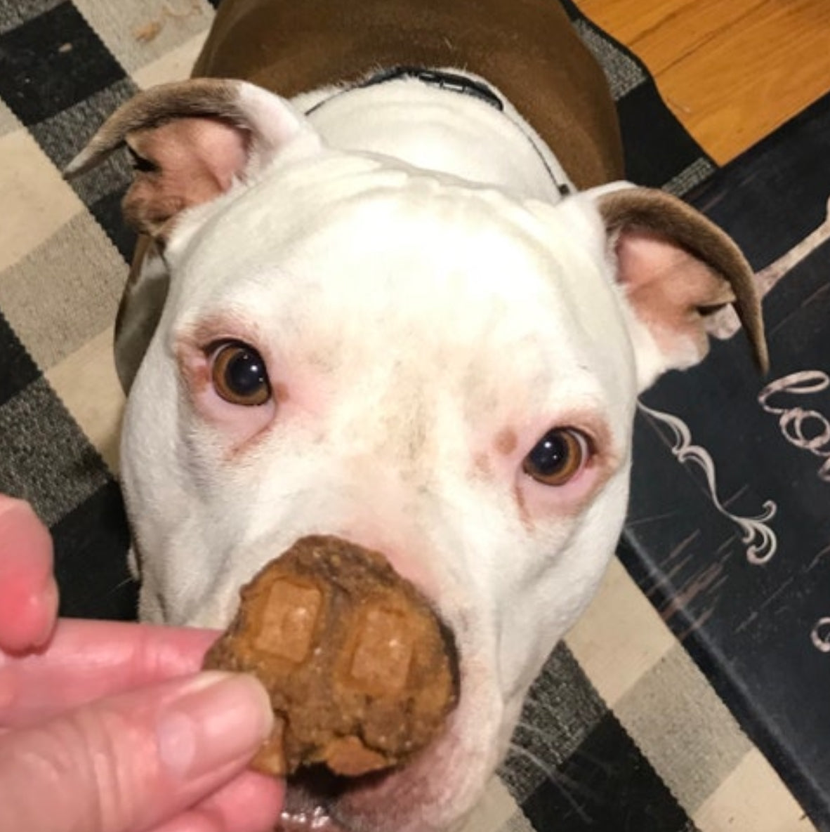 Sweet Potato Dog Treats – Crunchy Waffle Bite Biscuits, healthy handmade dog cookies made for dog lovers by a dog lover