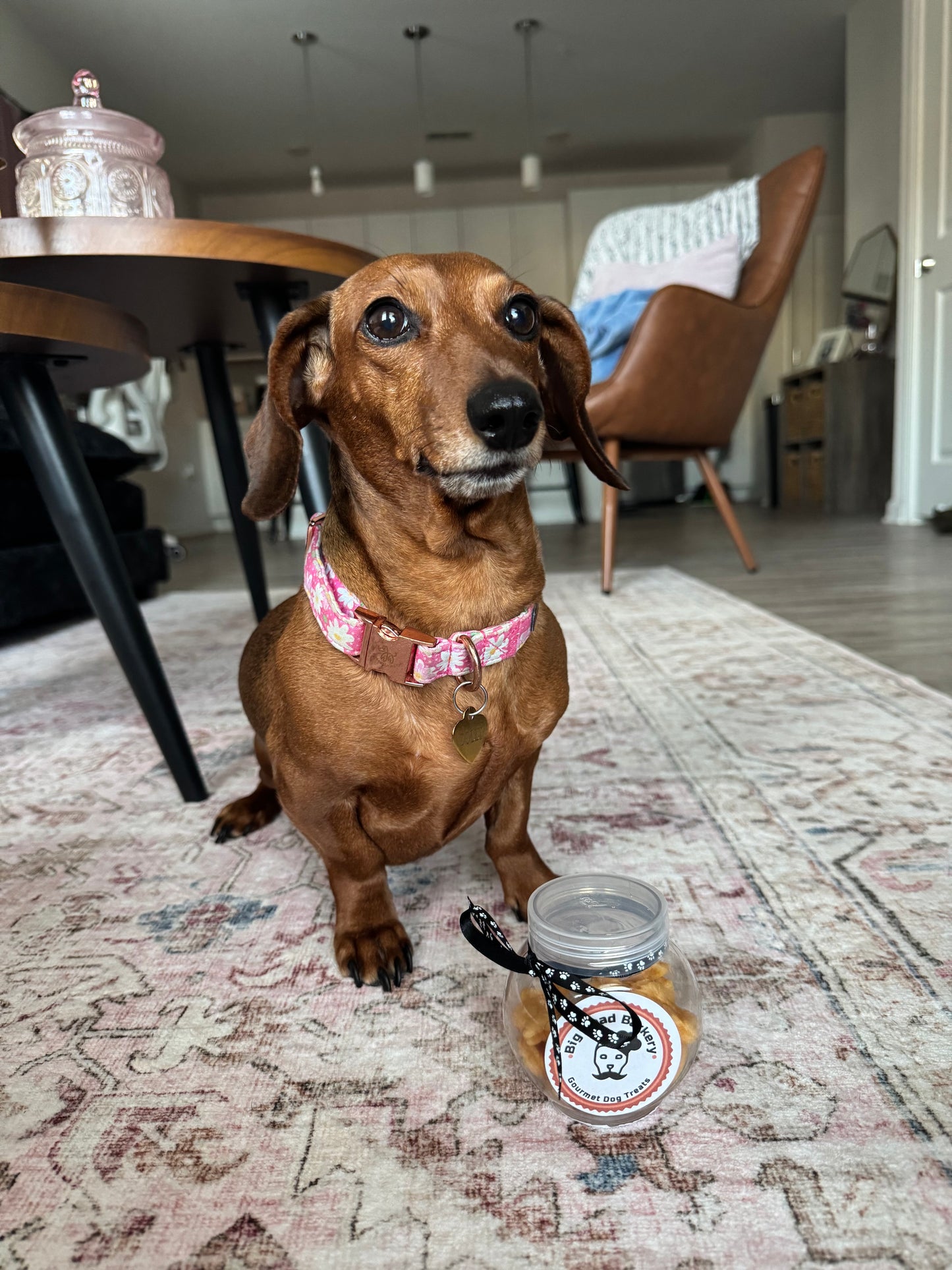 Cheddar Cheese Dog Treats – “Goldfish” Inspired Dog Bites