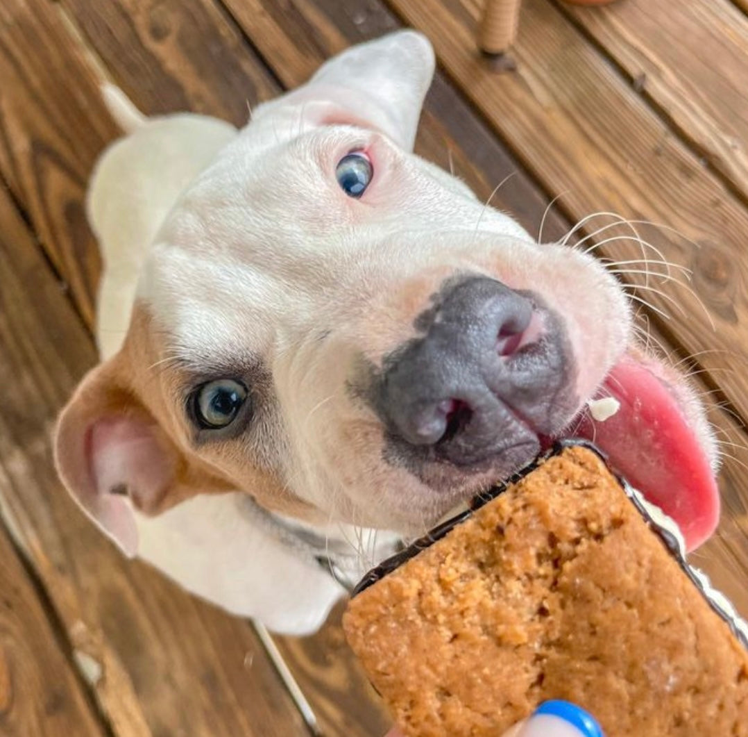 Peanut Butter Dog Treats – Doggie S’mores Campfire Cookies