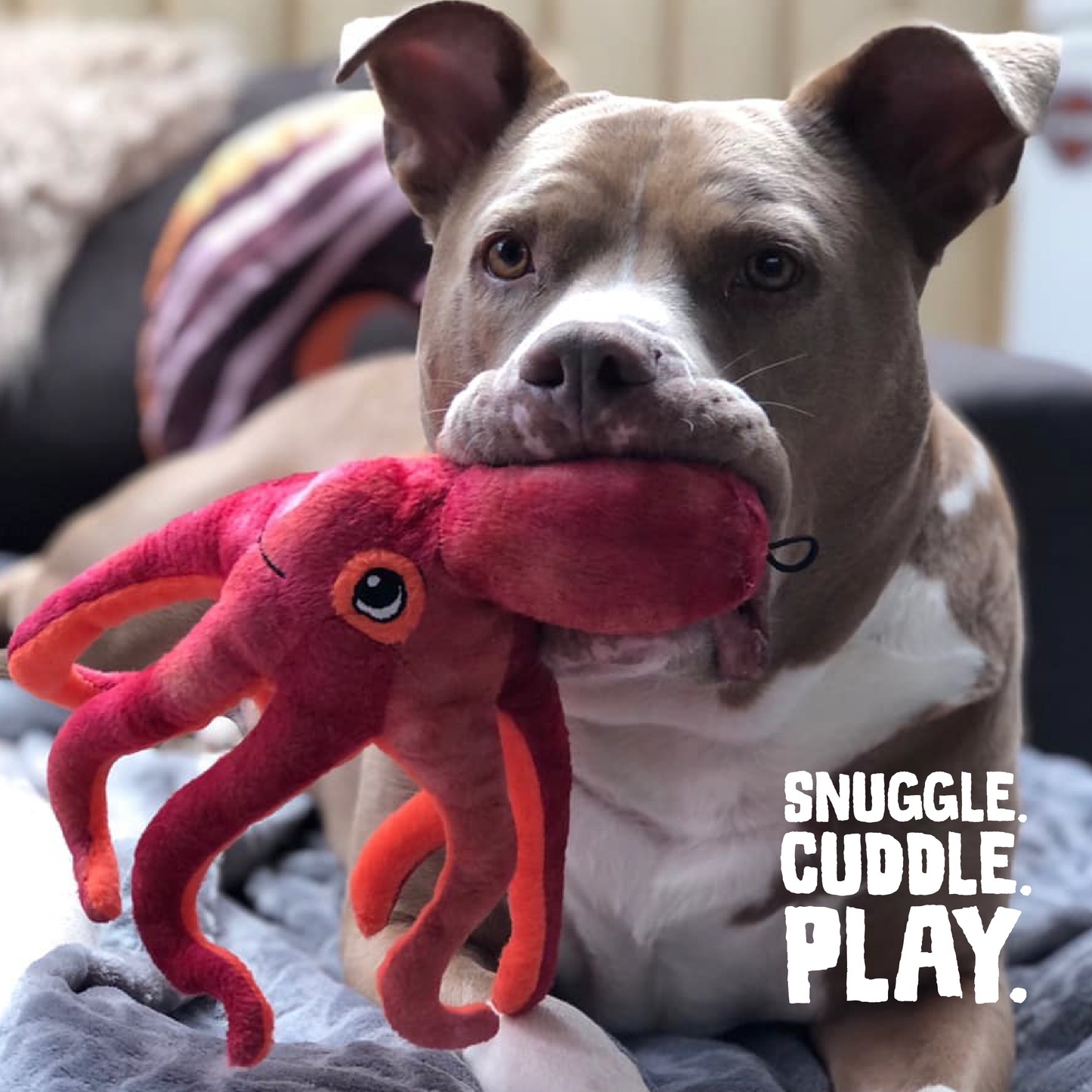 Octopus Dog Toy