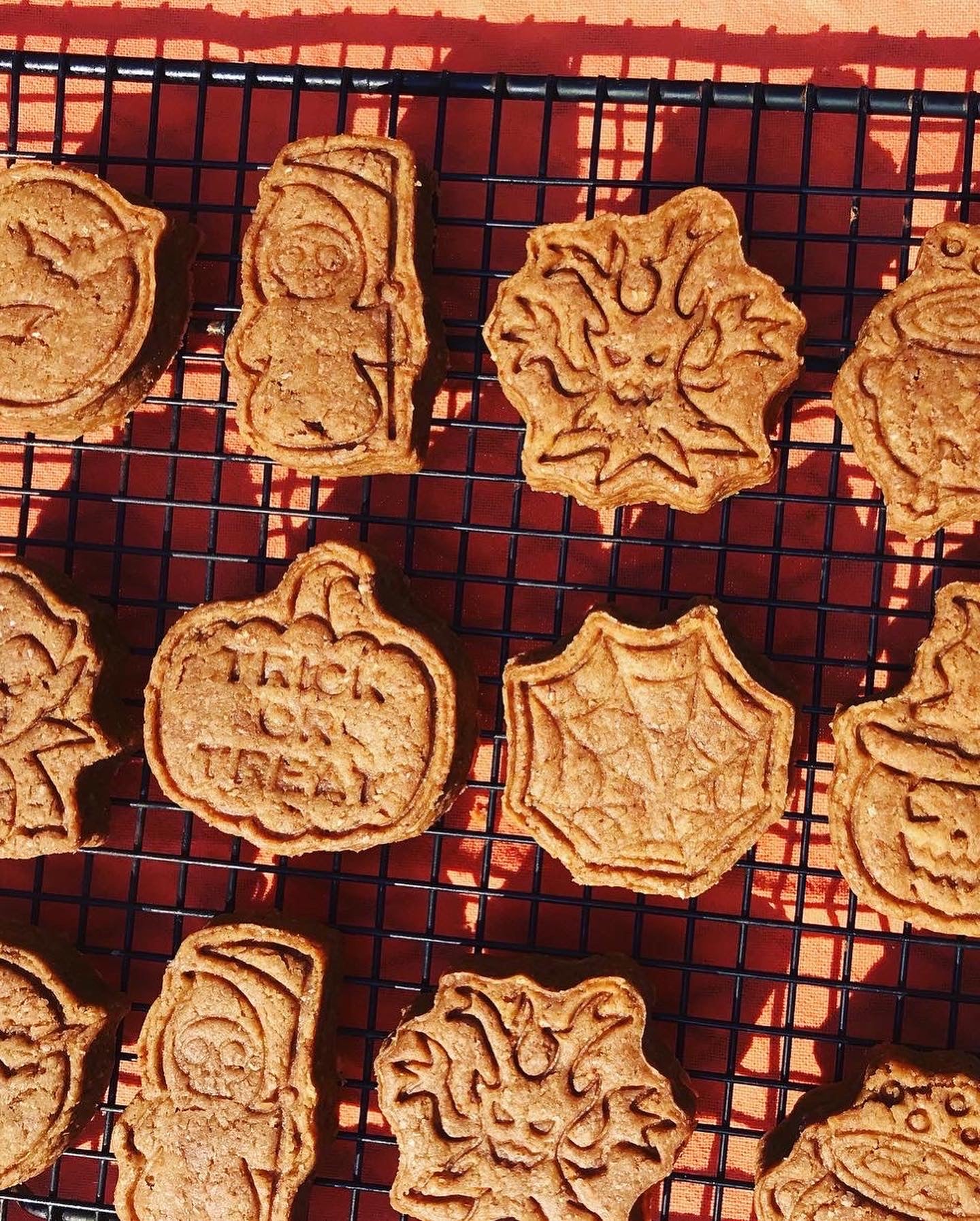 Spooktacular Stamped Peanut Butter Dog Cookies