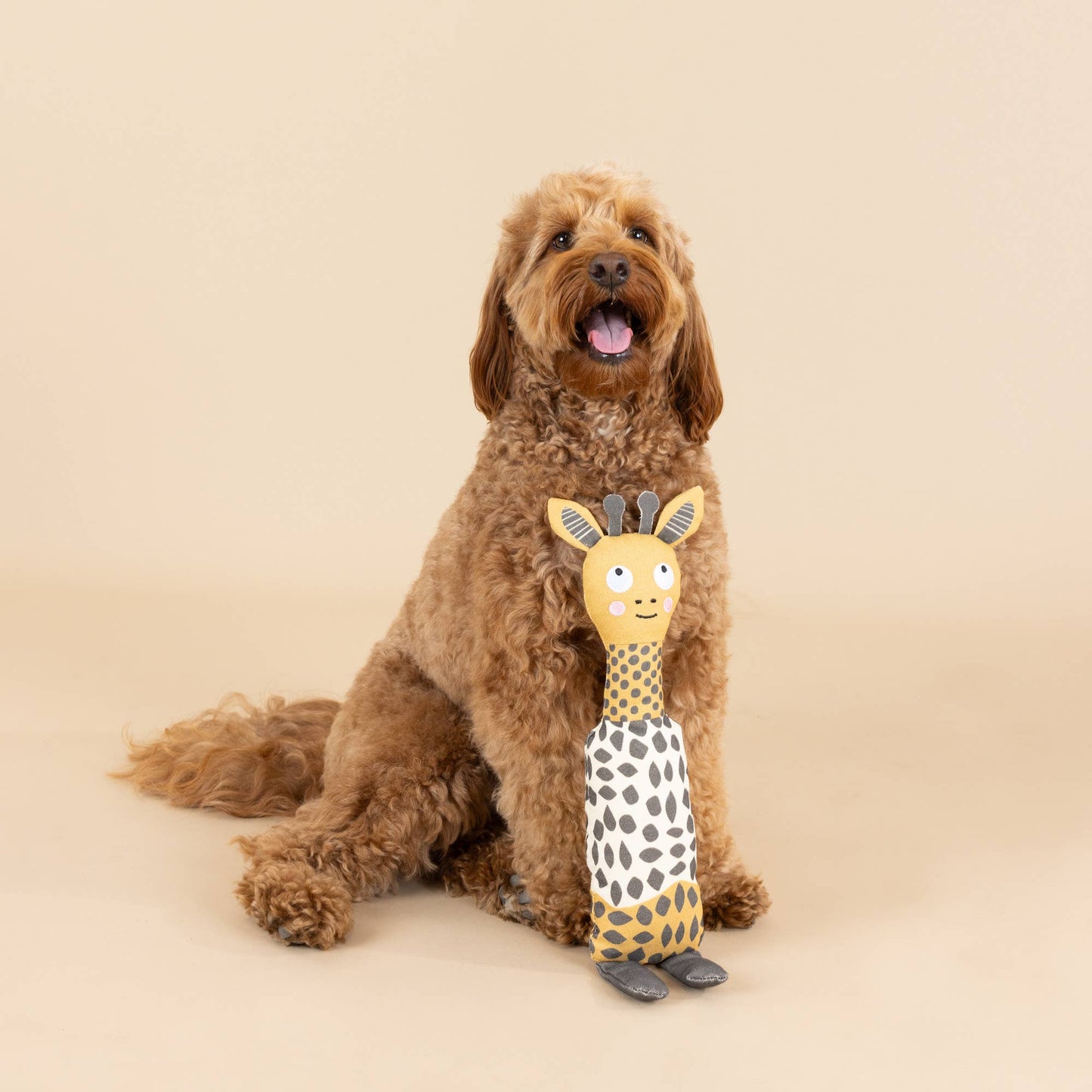 Petshop by Fringe Studio - CANVAS SQUEAKER DOG TOY HIGH THERE!