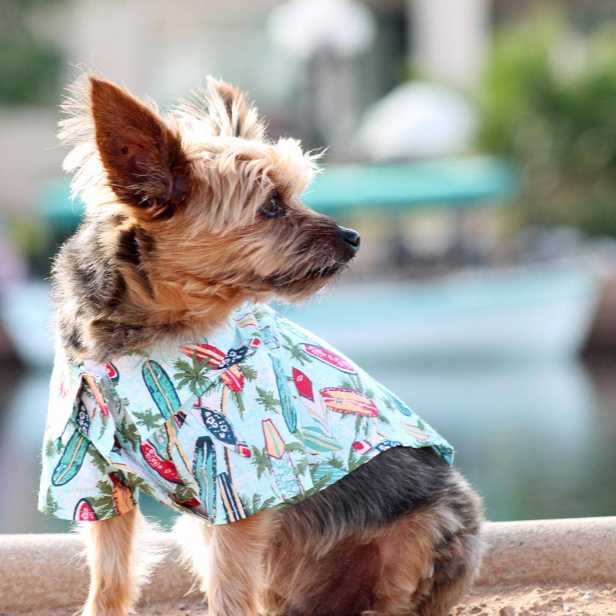 Doggie Design - Hawaiian Camp Shirt - Surfboards and Palms
