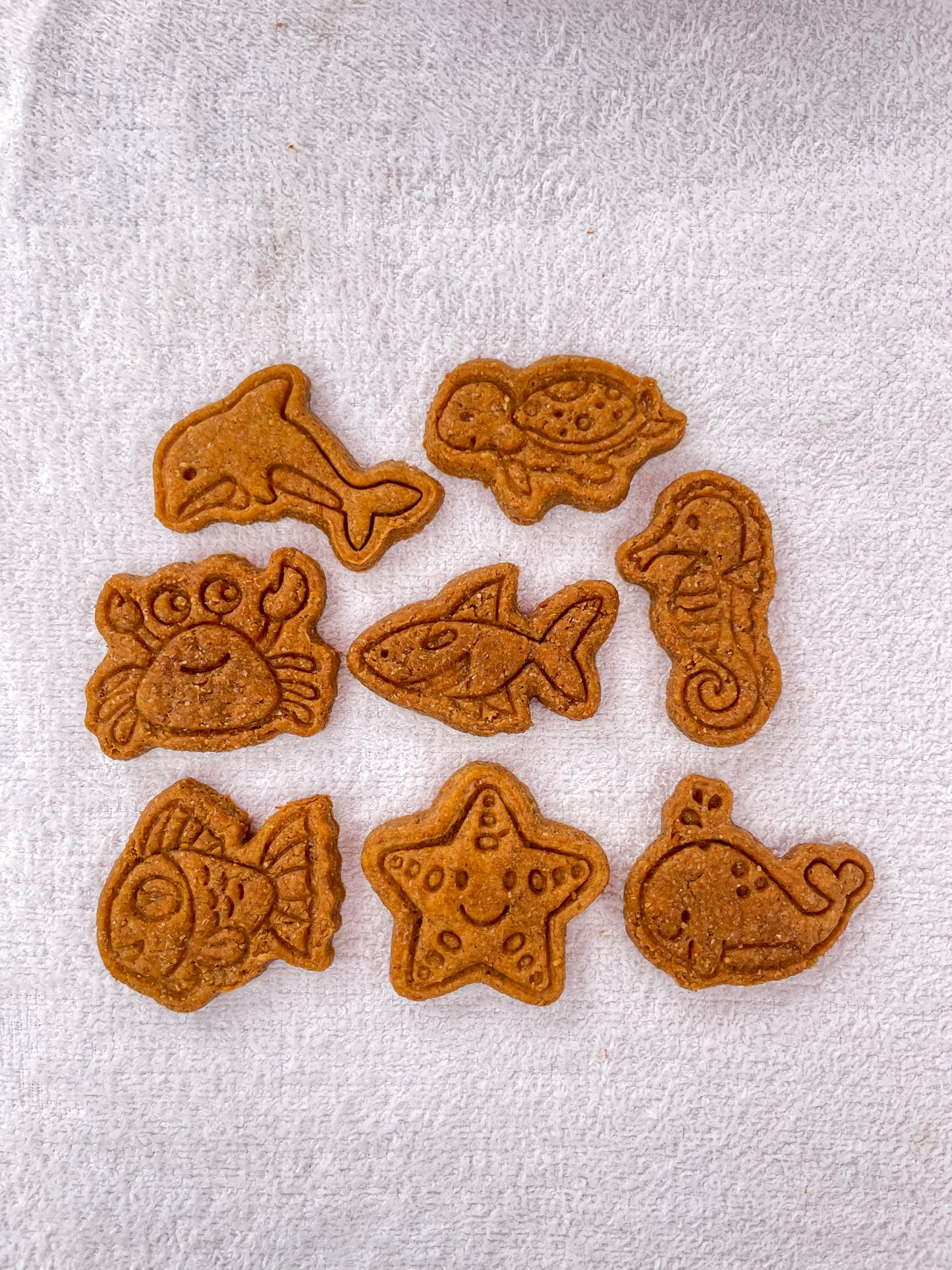 Sea Creature Cookies