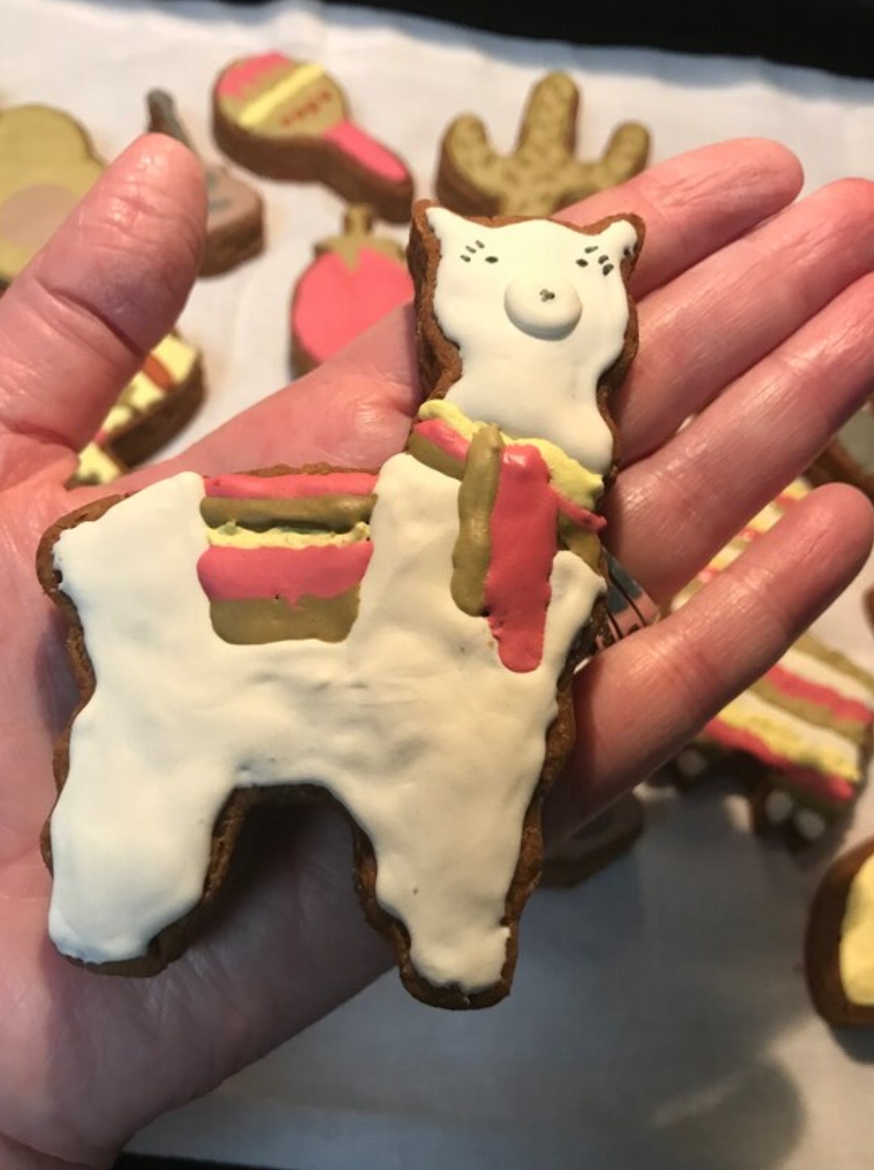 Cinco De Mayo Dog Cookie Gift Set