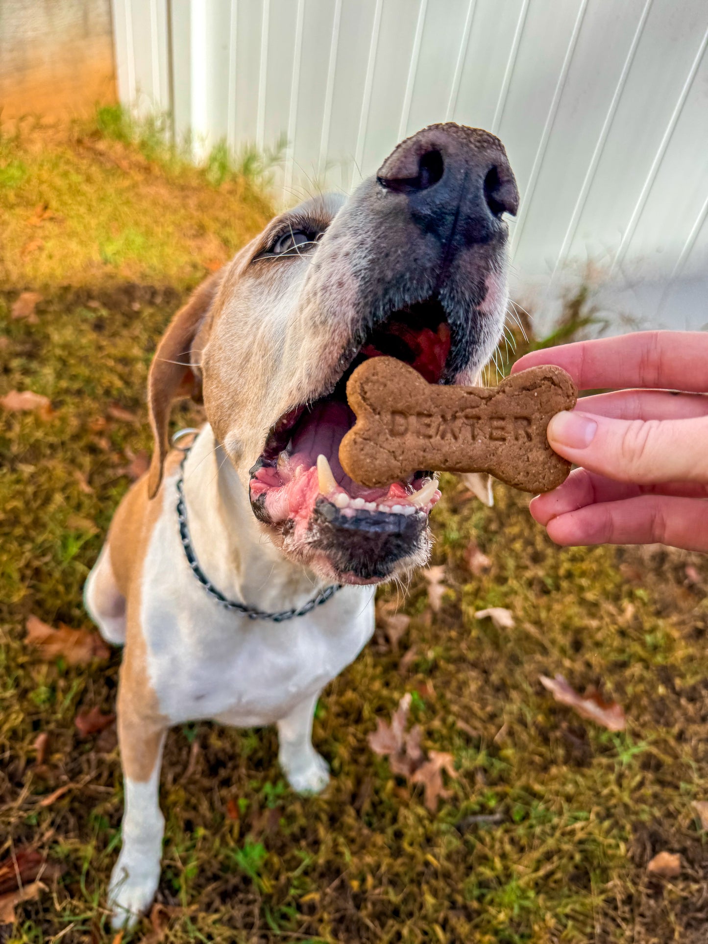 Personalized Peanut Butter Dog Treats with Name