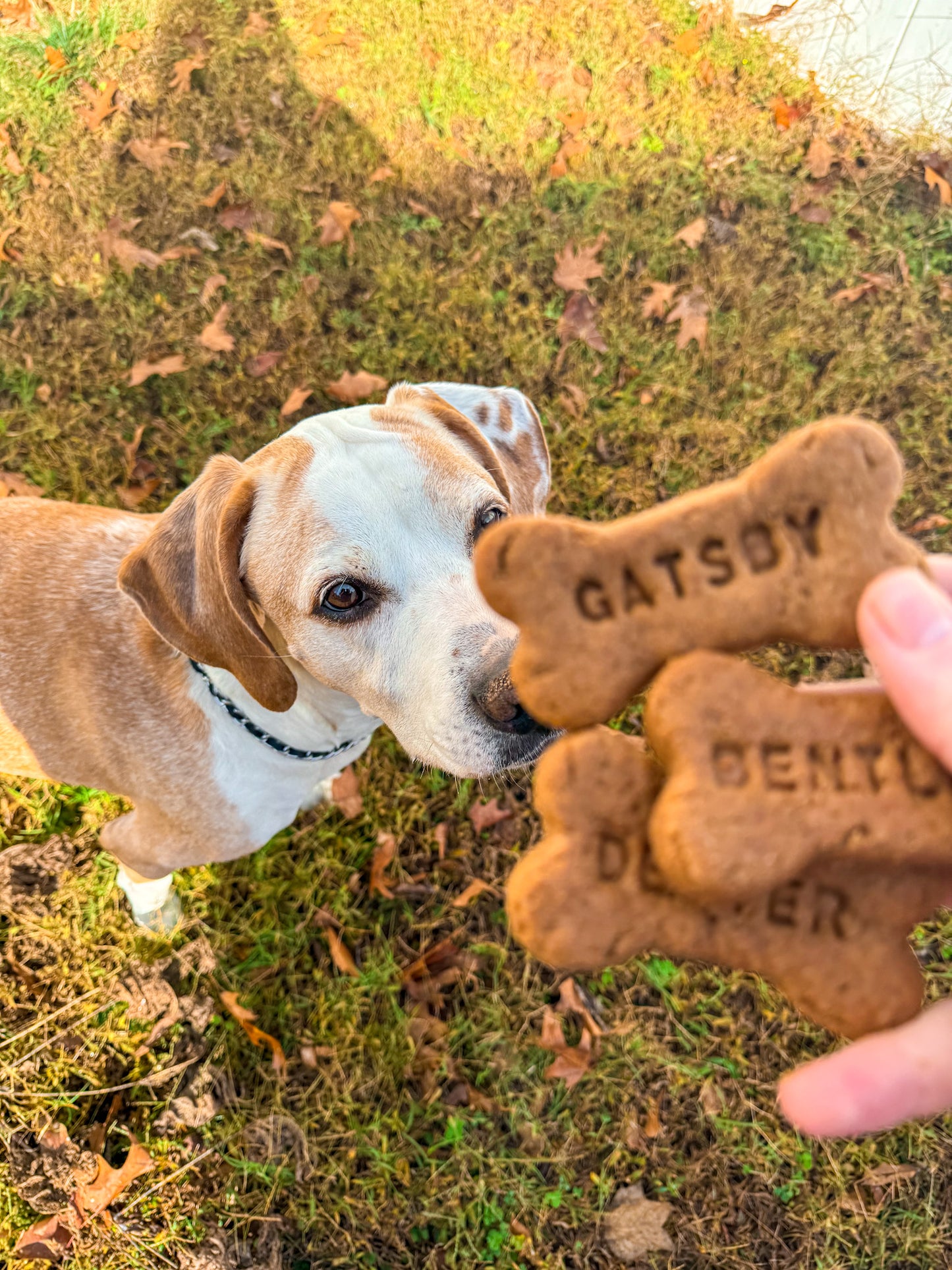 Personalized Peanut Butter Dog Treats with Name