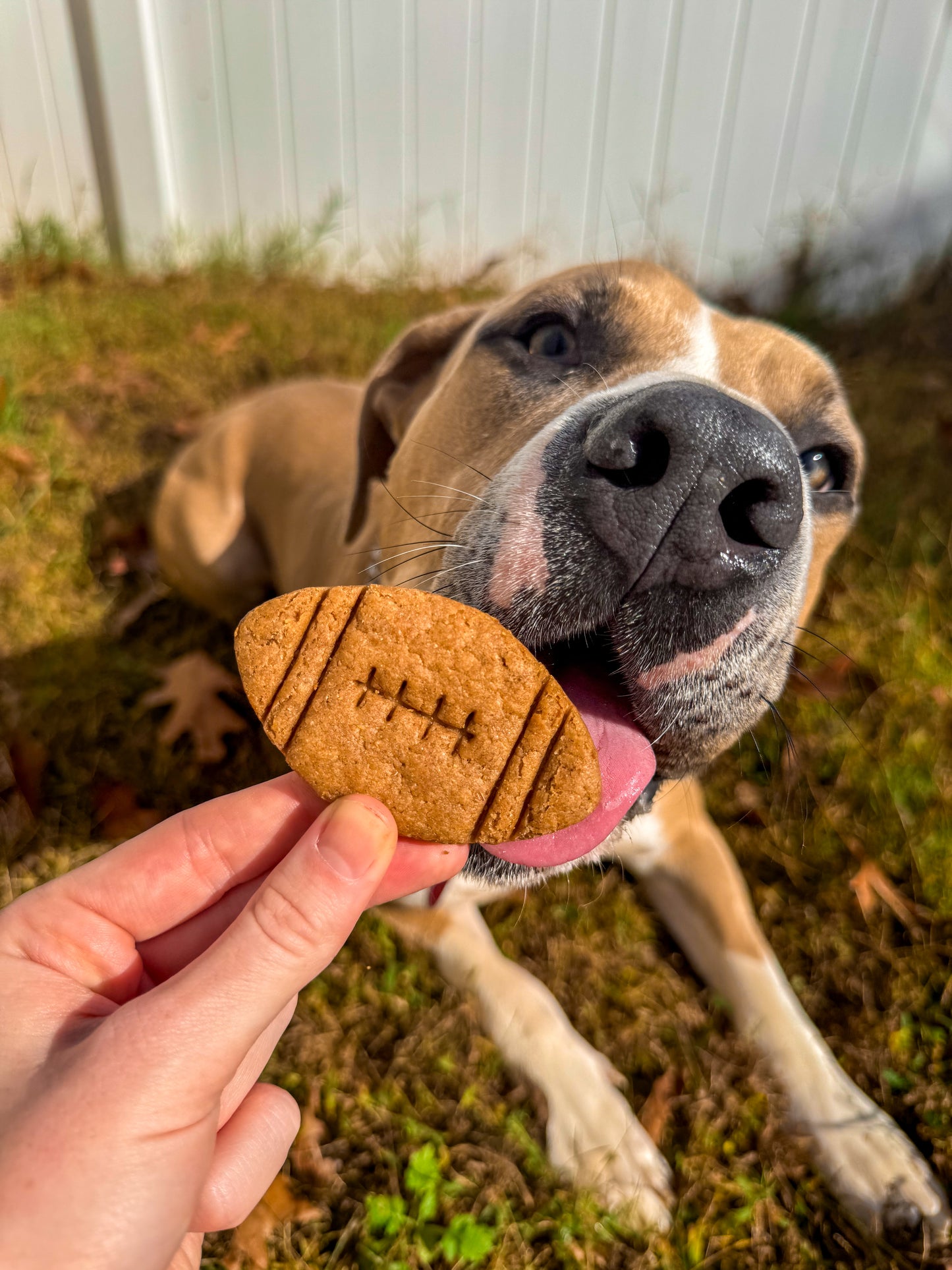 Football-Themed Peanut Butter Cookies for Dogs