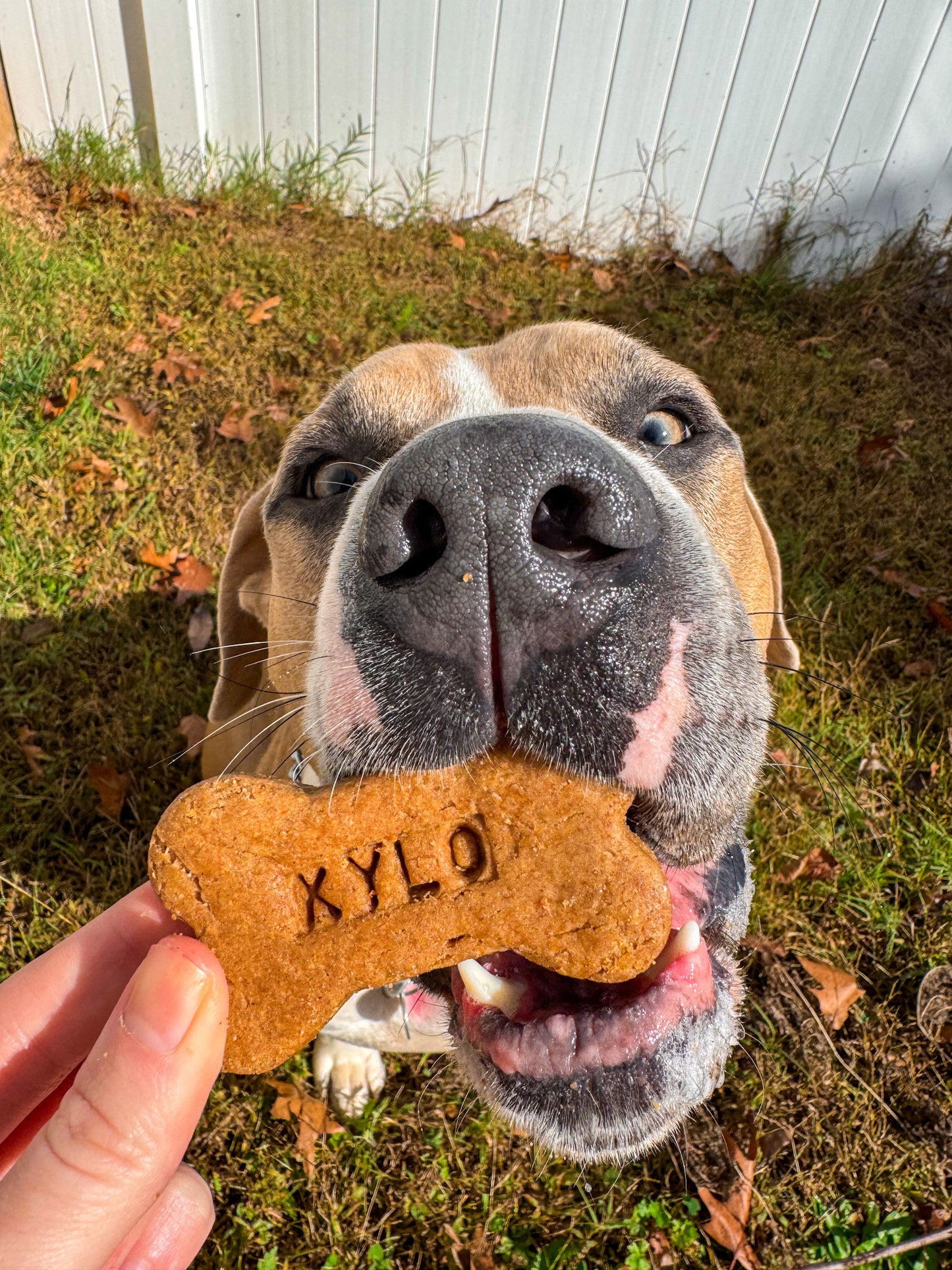 Personalized Peanut Butter Dog Treats with Name