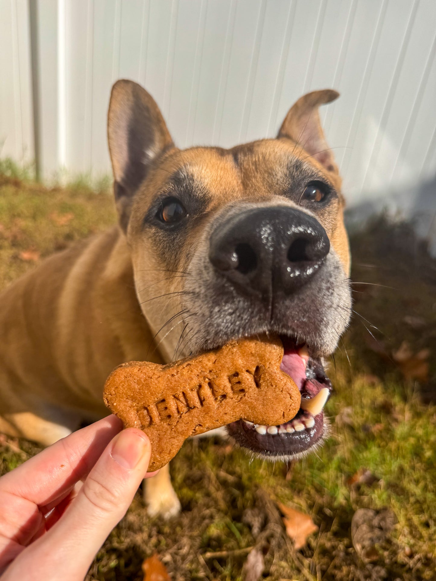 Personalized Peanut Butter Dog Treats with Name