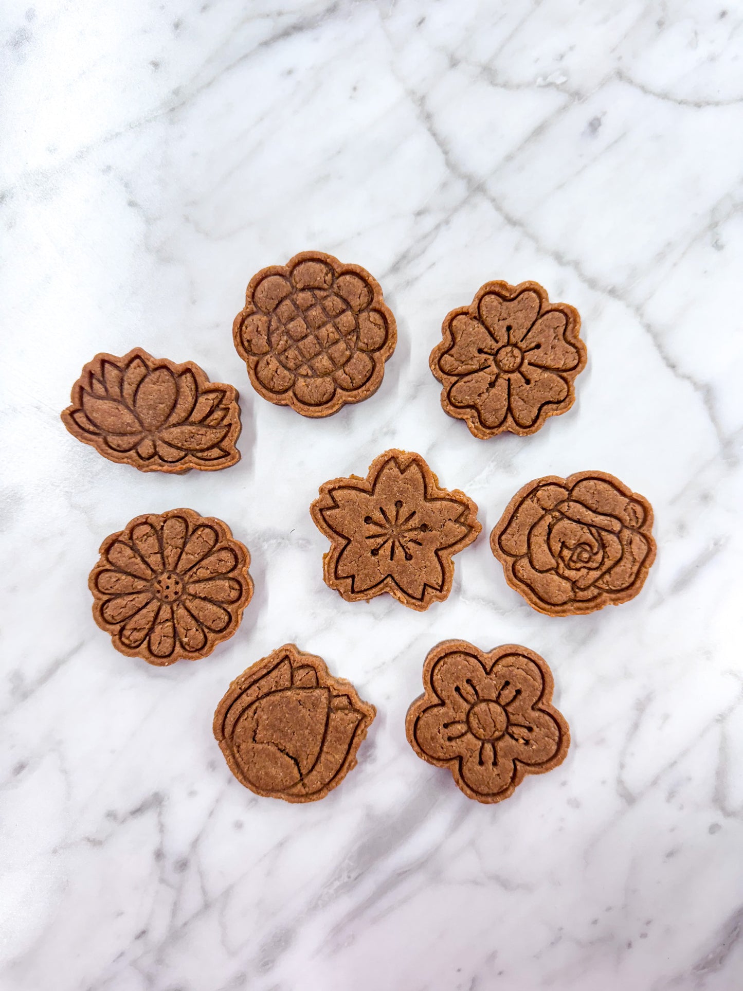 Spring Flower Biscuits - 16-Pack