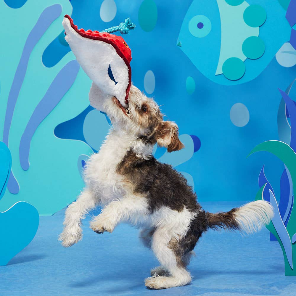 Stingray Dog Toy