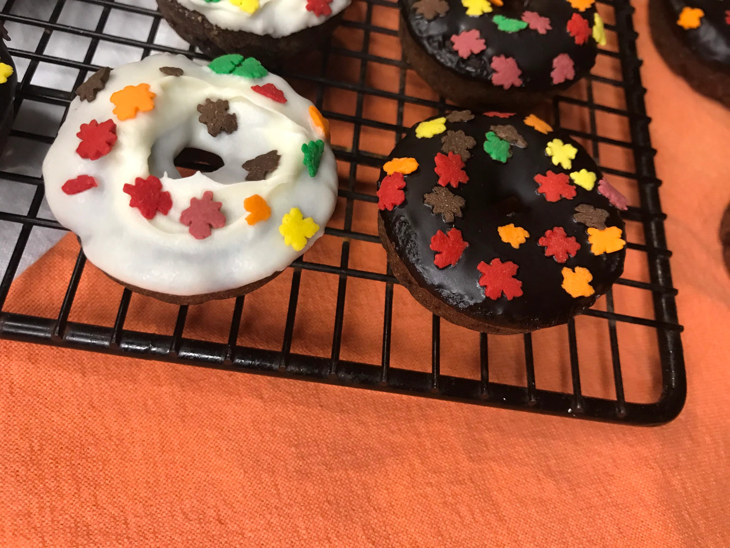 Fall Themed Doggy Donuts