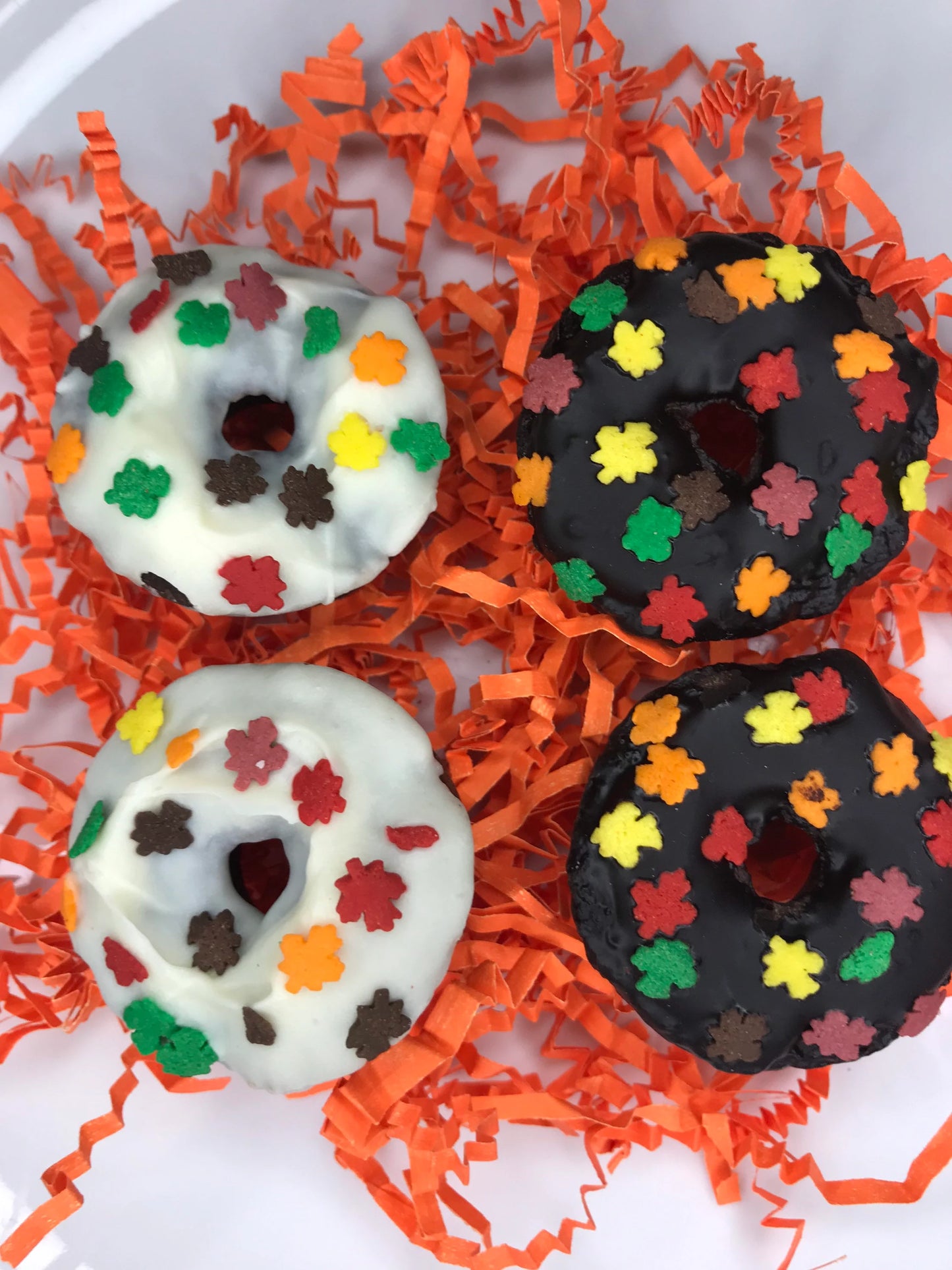 Fall Themed Doggy Donuts