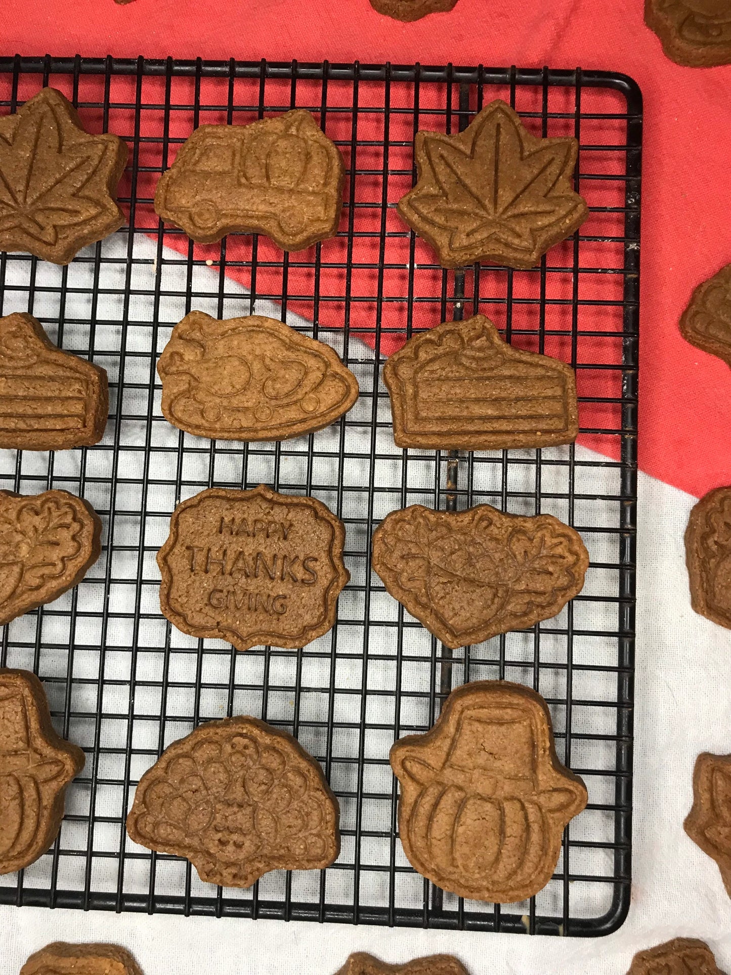 Thanksgiving Themed Peanut Butter Dog Treats