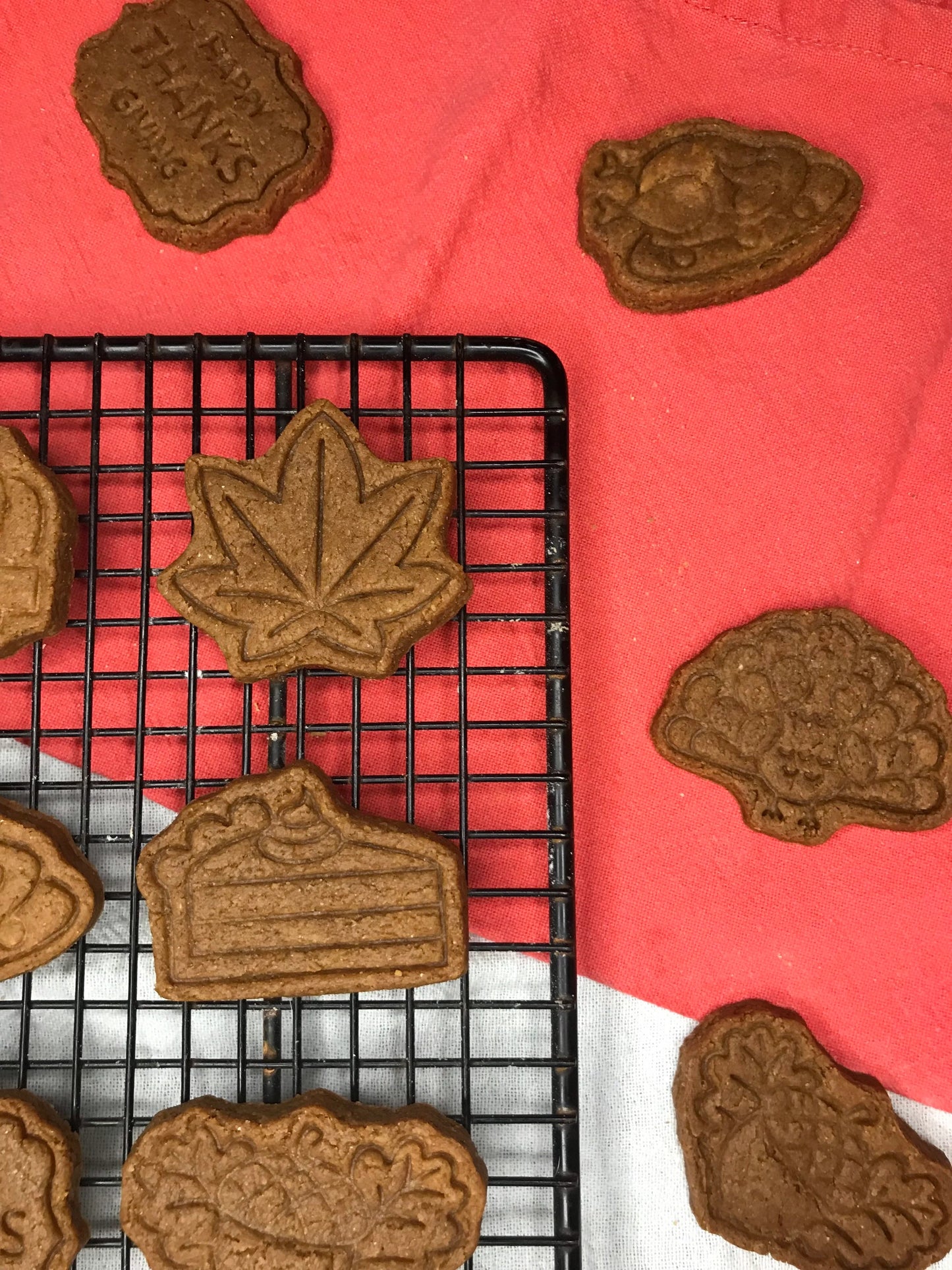 Thanksgiving Themed Peanut Butter Dog Treats