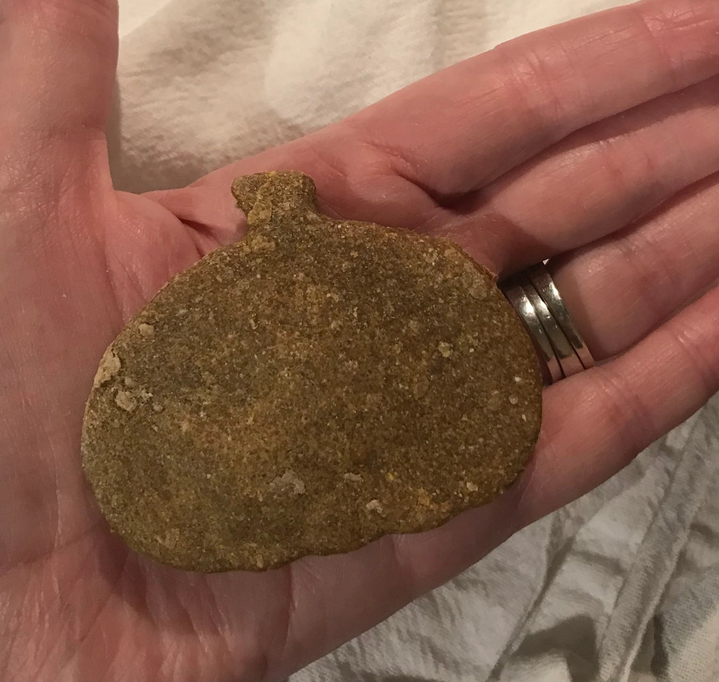 Pumpkin Dog Treats – 12-Count Pumpkin Fall Cookies