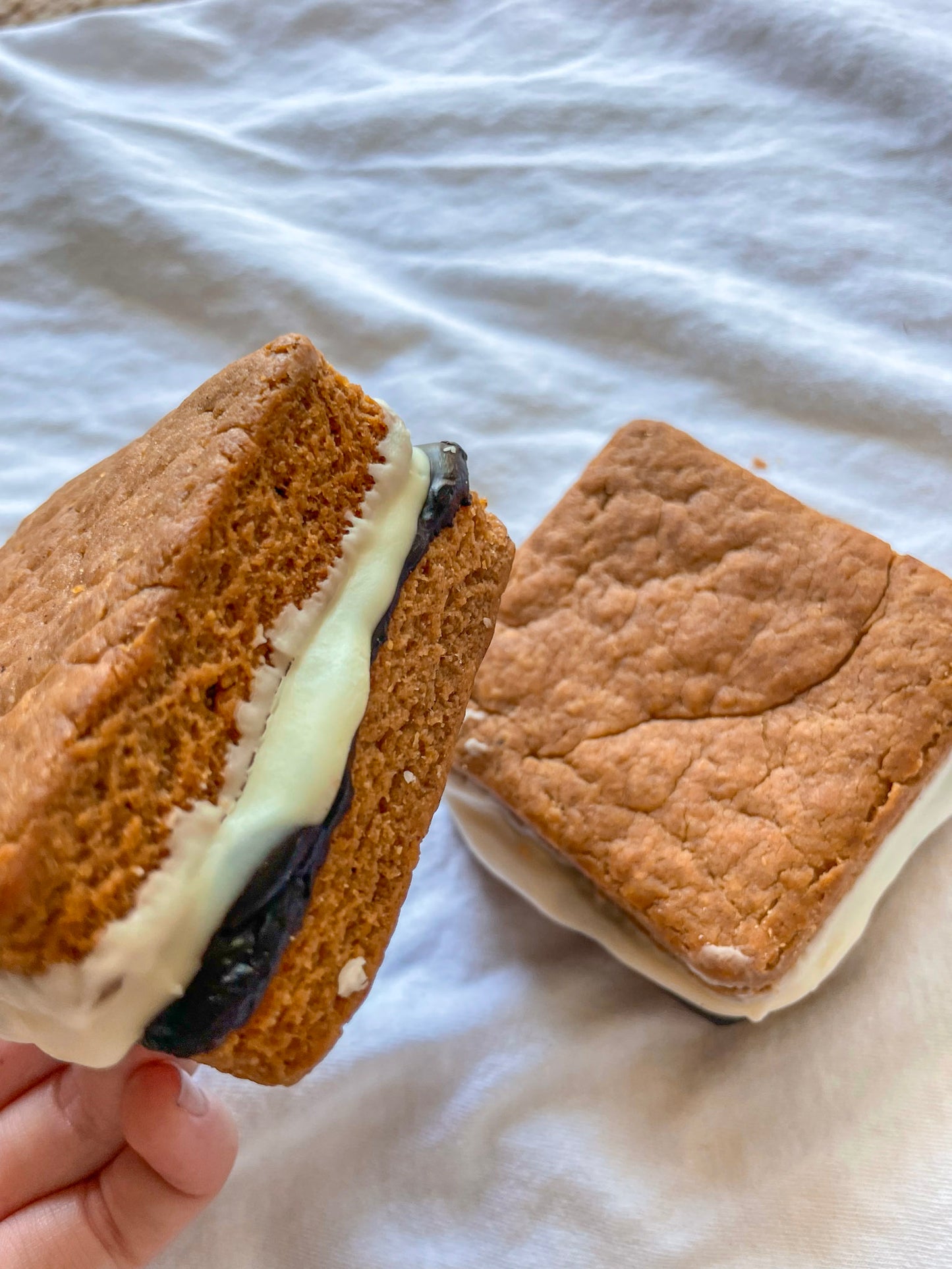 Peanut Butter Dog Treats – Doggie S’mores Campfire Cookies