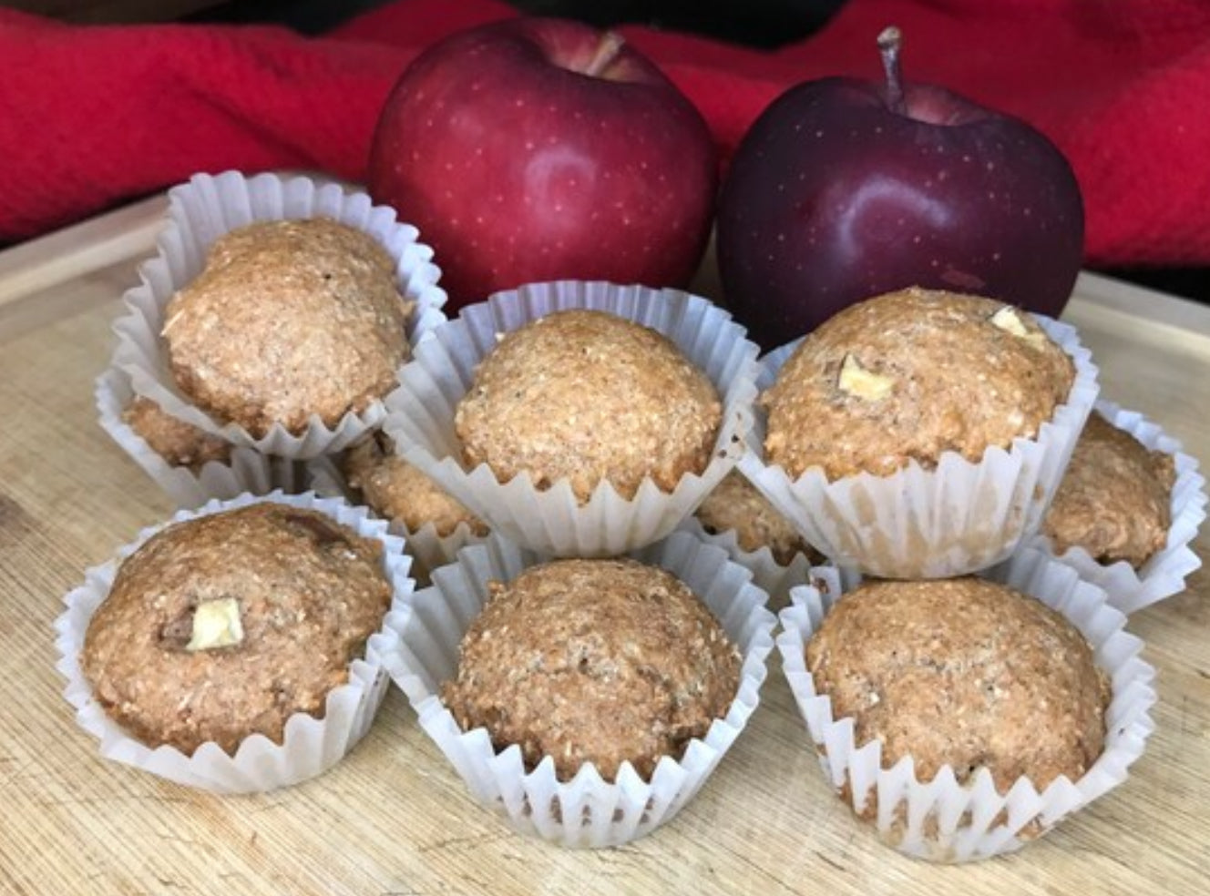 Apple Dog Treats – Mini Muffins for Dogs, Soft & All-Natural