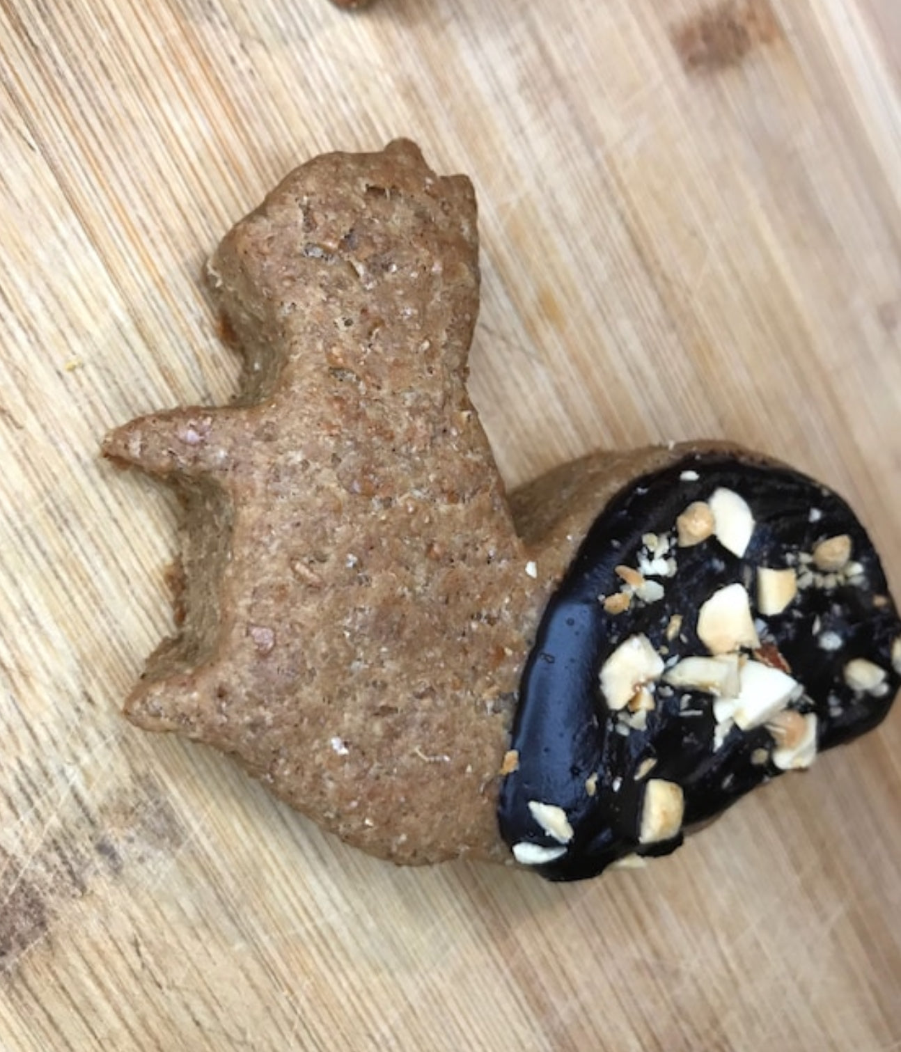 Peanut Butter Dog Treats – Squirrel & Acorn Fall Cookies