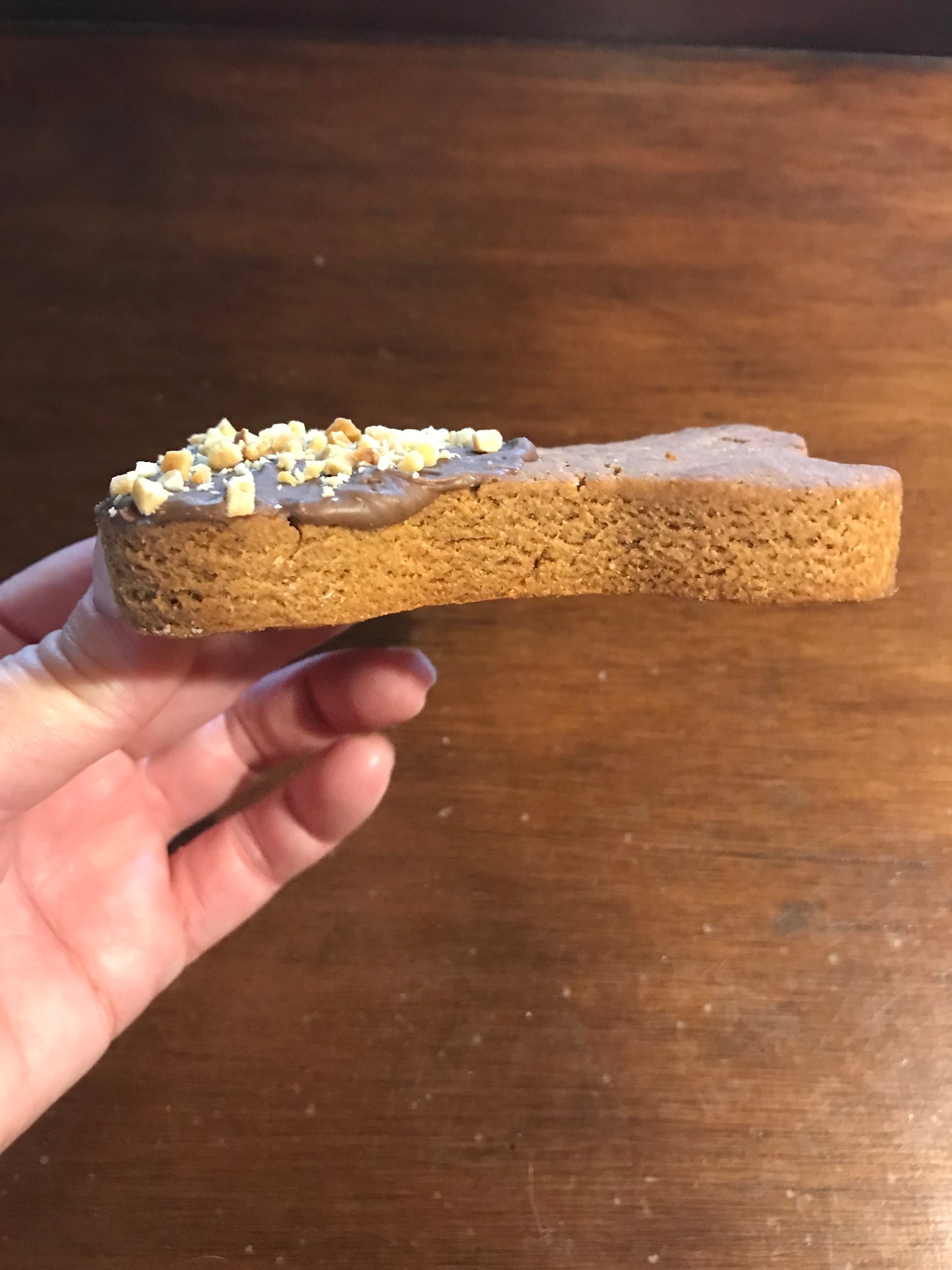 Peanut Butter Dog Treats – Hand-Dipped Bone Biscuits