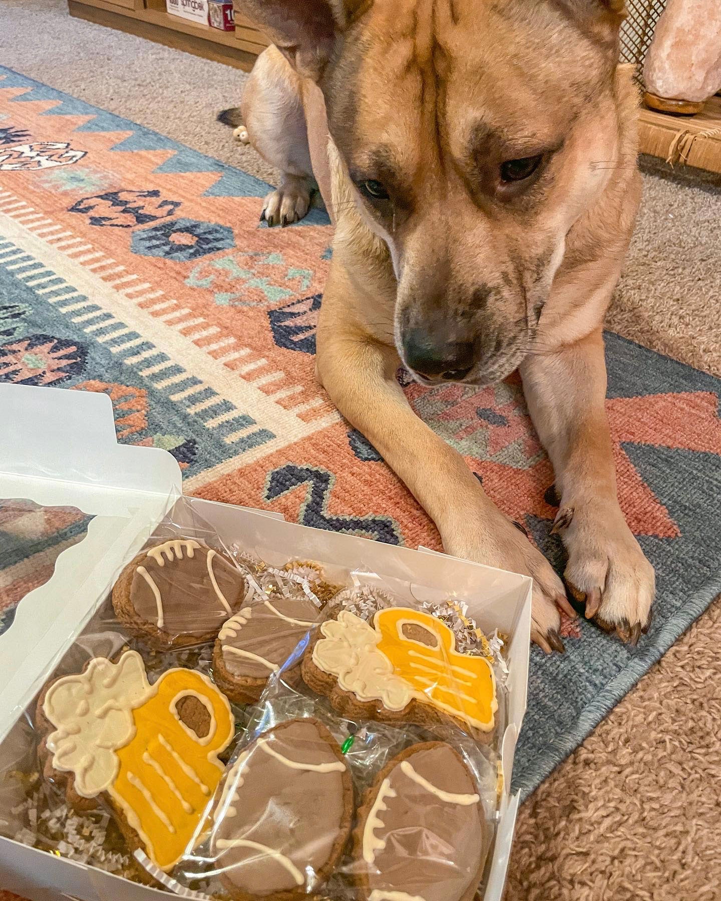 Peanut Butter Dog Treats – Game Day Football & Beer Cookies