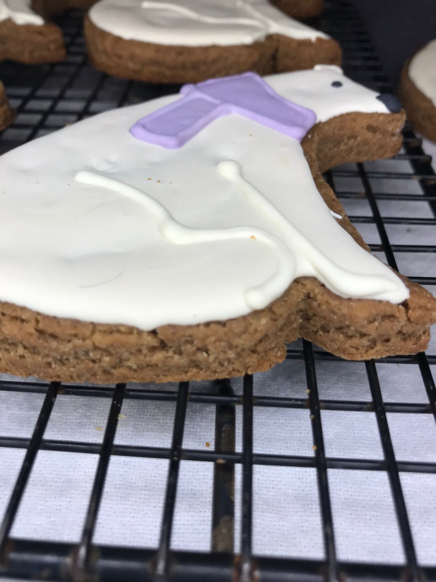 Peanut Butter Dog Treats – Polar Bear Cookie Gift Box