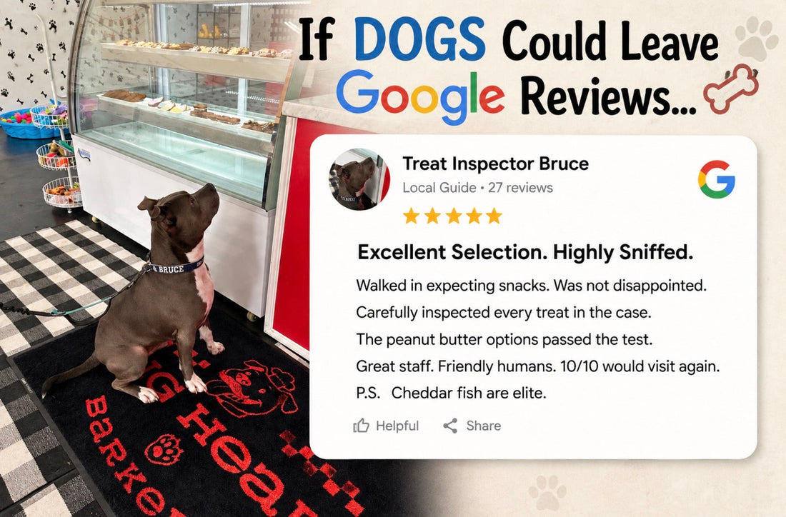If Dogs Could Leave Google Reviews… 🐾⭐