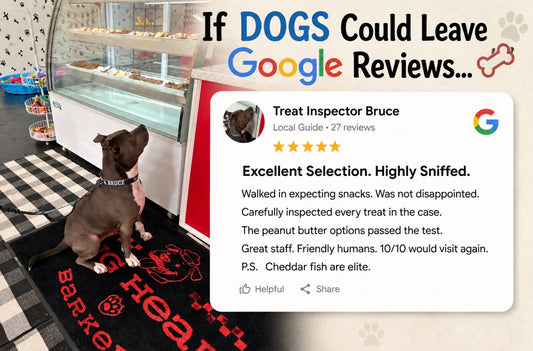 If Dogs Could Leave Google Reviews… 🐾⭐