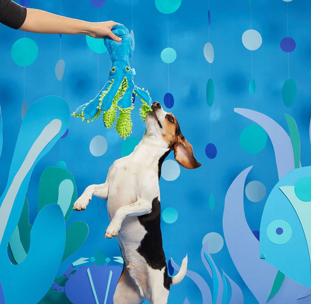 Squid Dog Toy