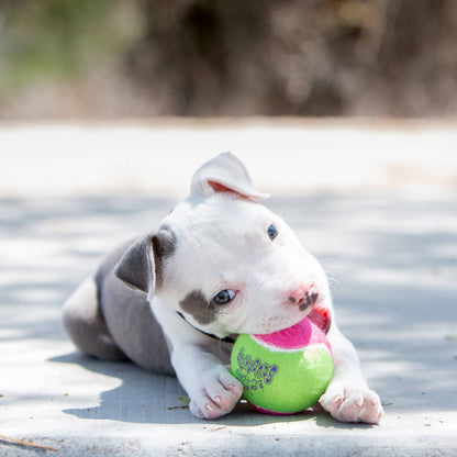 KONG SqueakAir Birthday Balls – Dog Fetch Toy