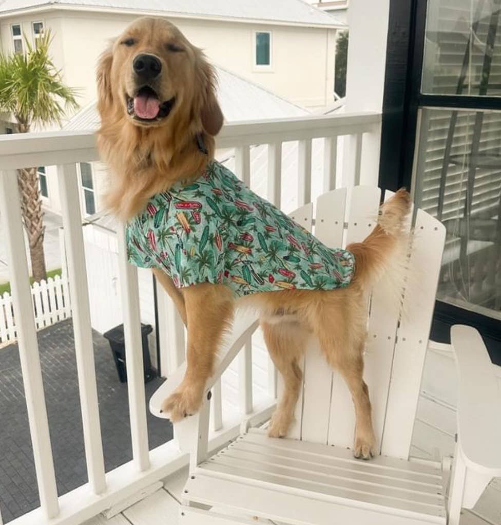 Doggie Design - Hawaiian Camp Shirt - Surfboards and Palms
