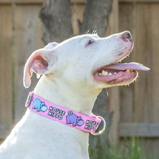 Pitty-potamus Martingale Collar – Pink