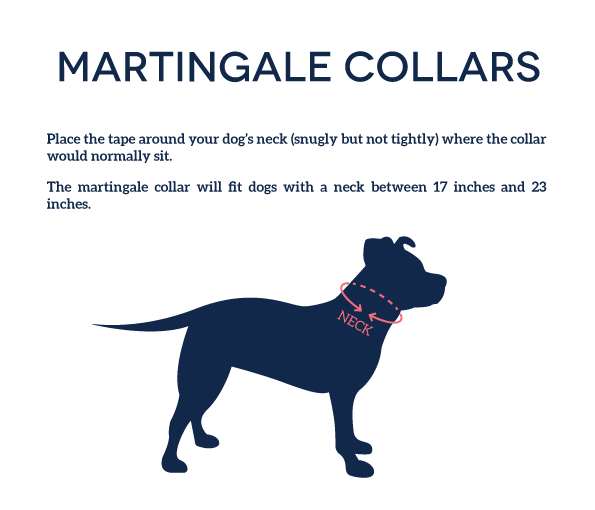 Pitty-potamus Martingale Collar – Pink