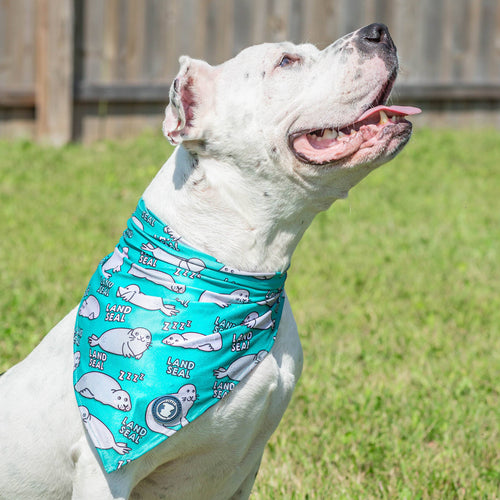 Land Seal Dog Bandana