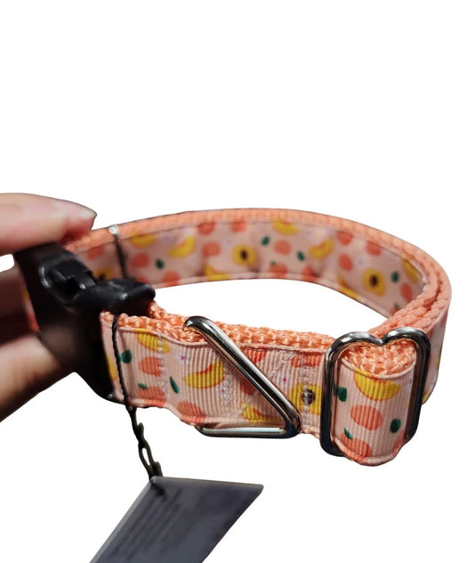 Ripe Peach Nylon Dog Collar