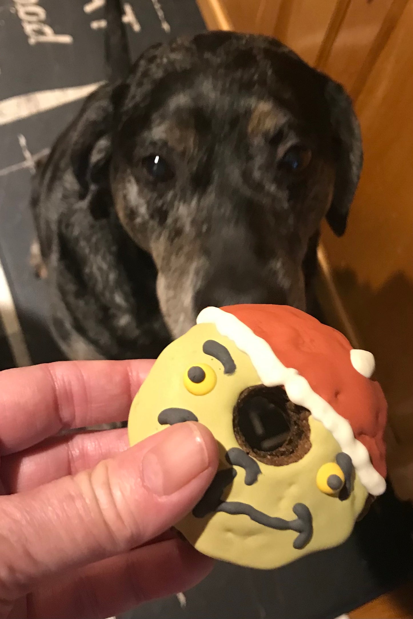 🎅 Holiday Doggie Donuts – Grinch & Santa Dog Treats, Christmas Dog Donut Set 🐾🍩