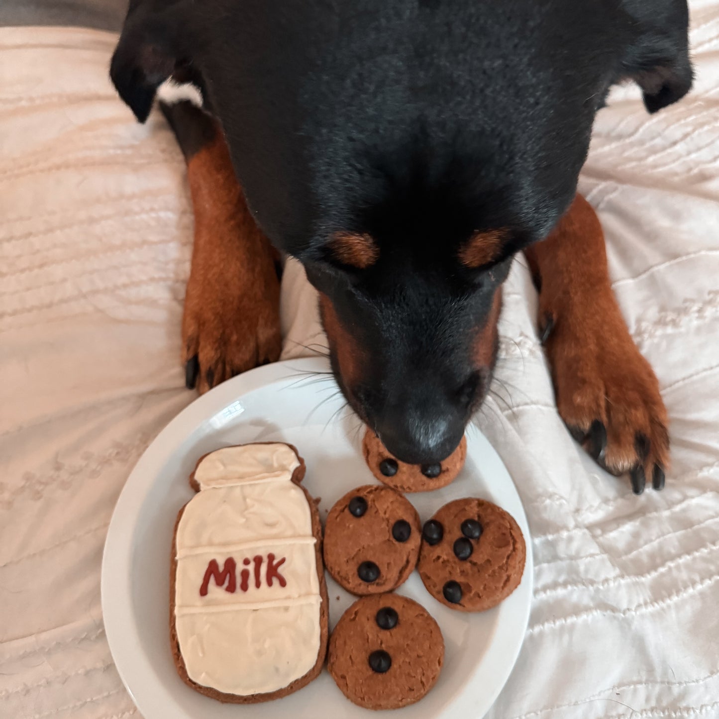 🥛 Milk & Cookies Dog Treat Set – Peanut Butter Holiday Dog Cookies, Handmade Dog Biscuits 🍪🐾