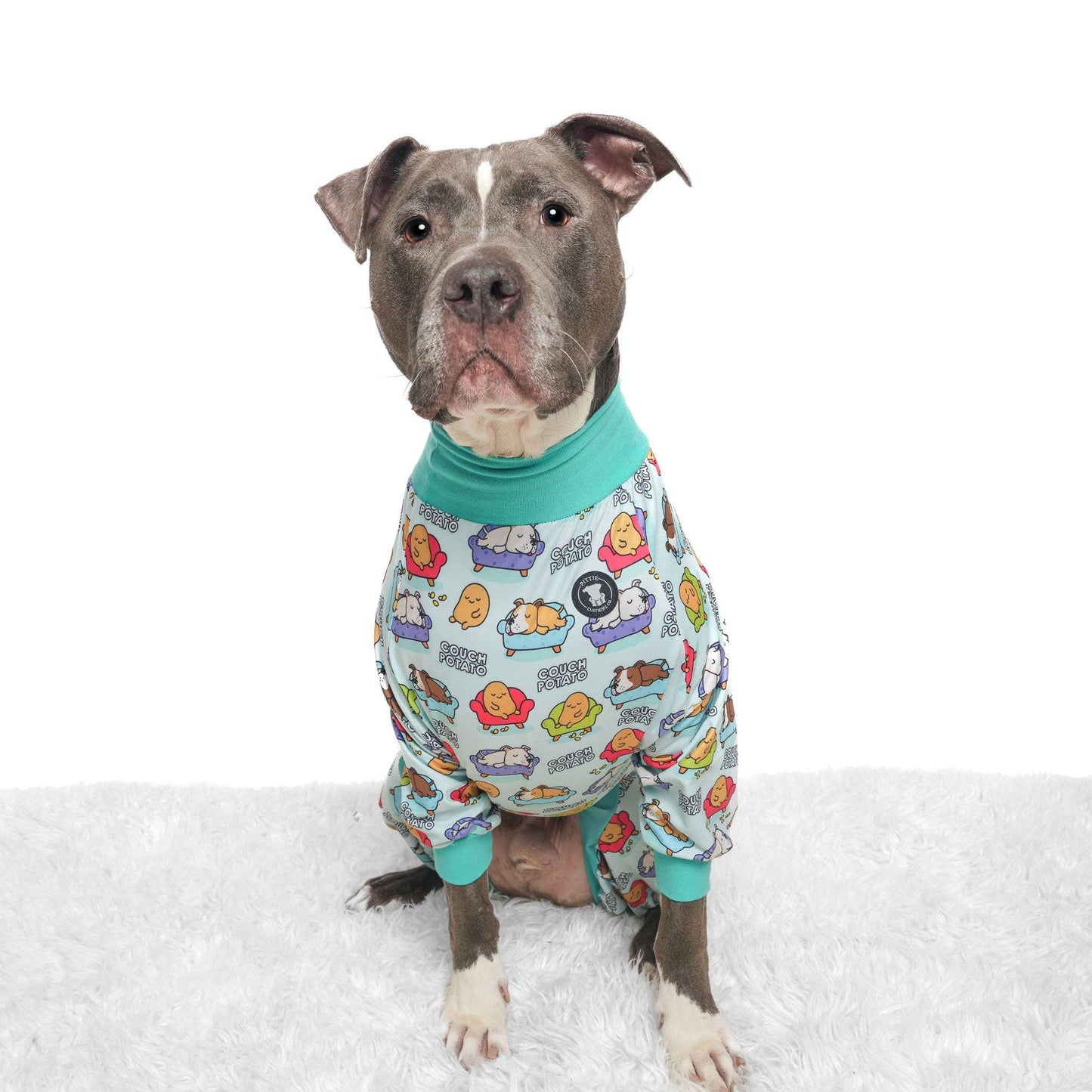 Couch Potato Dog Pajamas – Blue