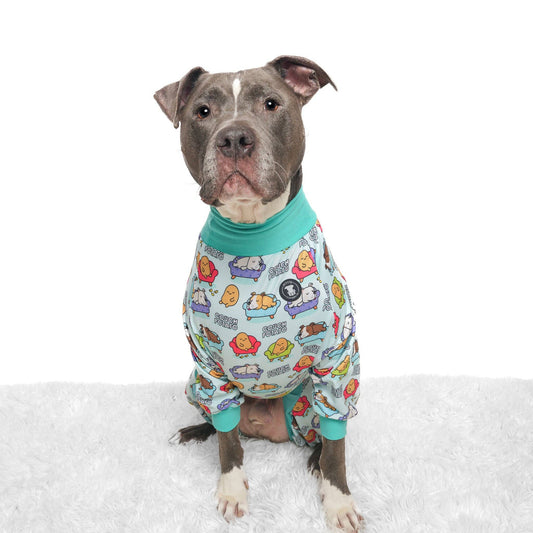 Couch Potato Dog Pajamas – Blue