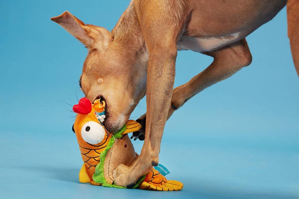 Fish Taco Dog Toy