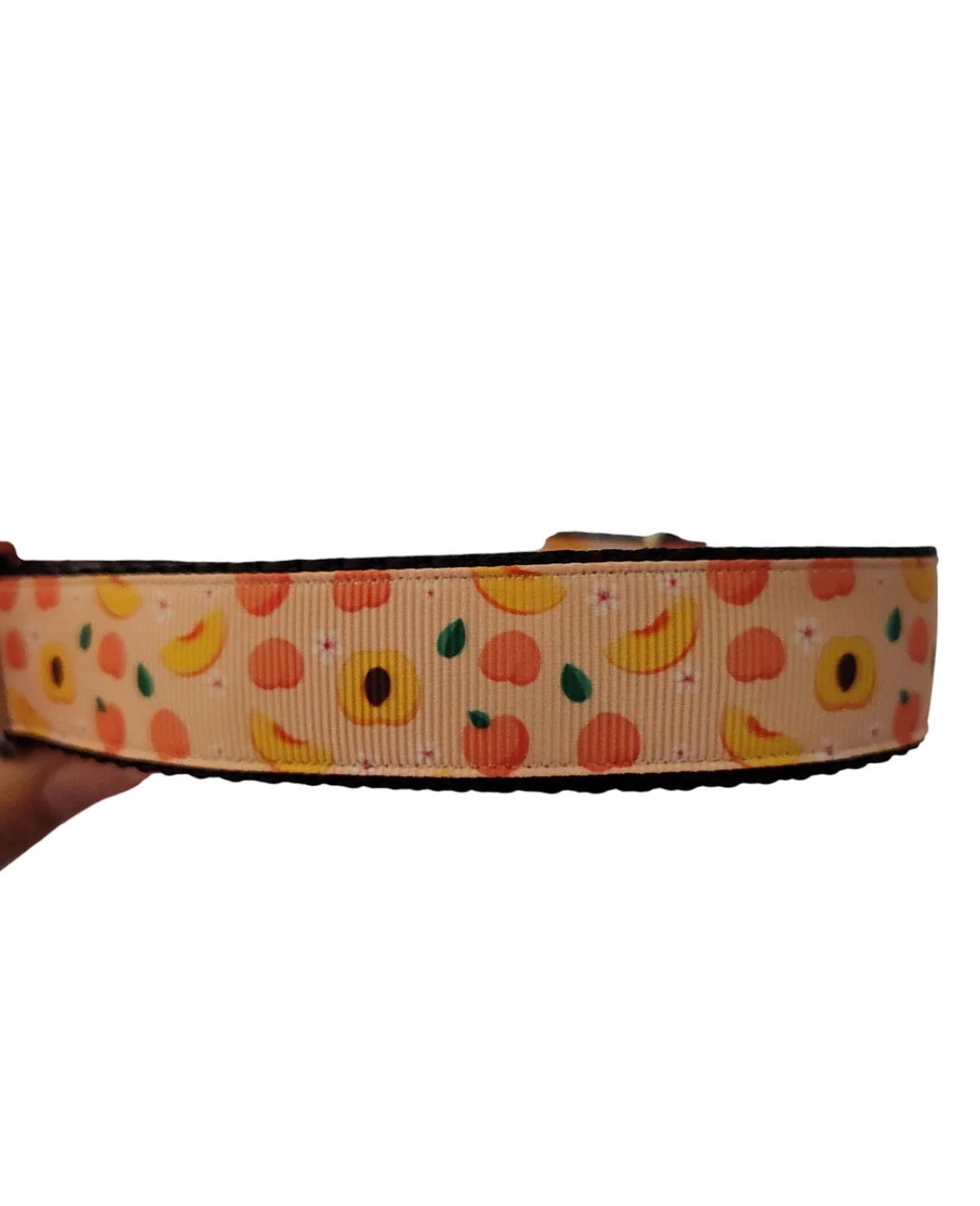 Ripe Peach Nylon Dog Collar