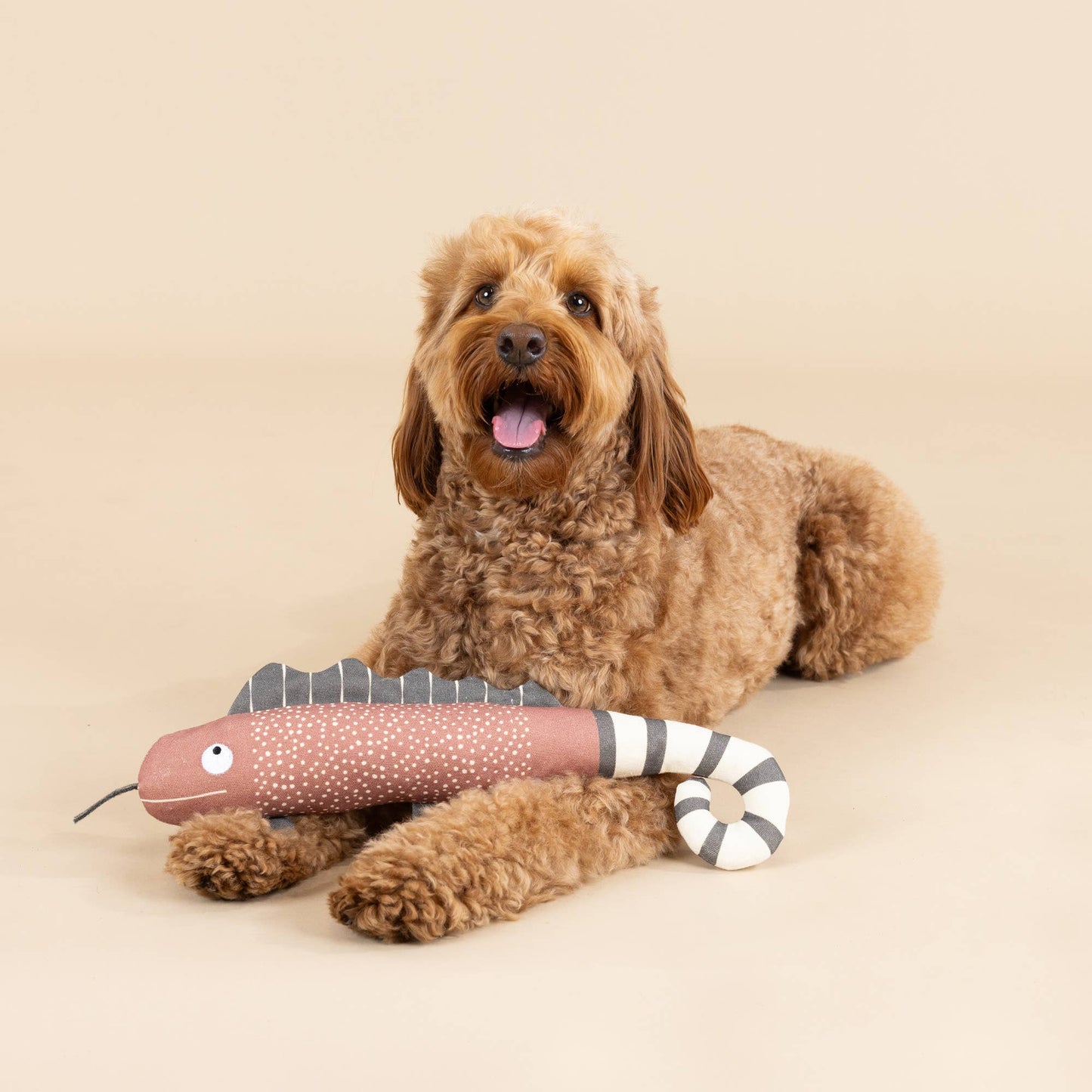 Petshop by Fringe Studio - CANVAS SQUEAKER DOG TOY ONE IN A CHAMELEON