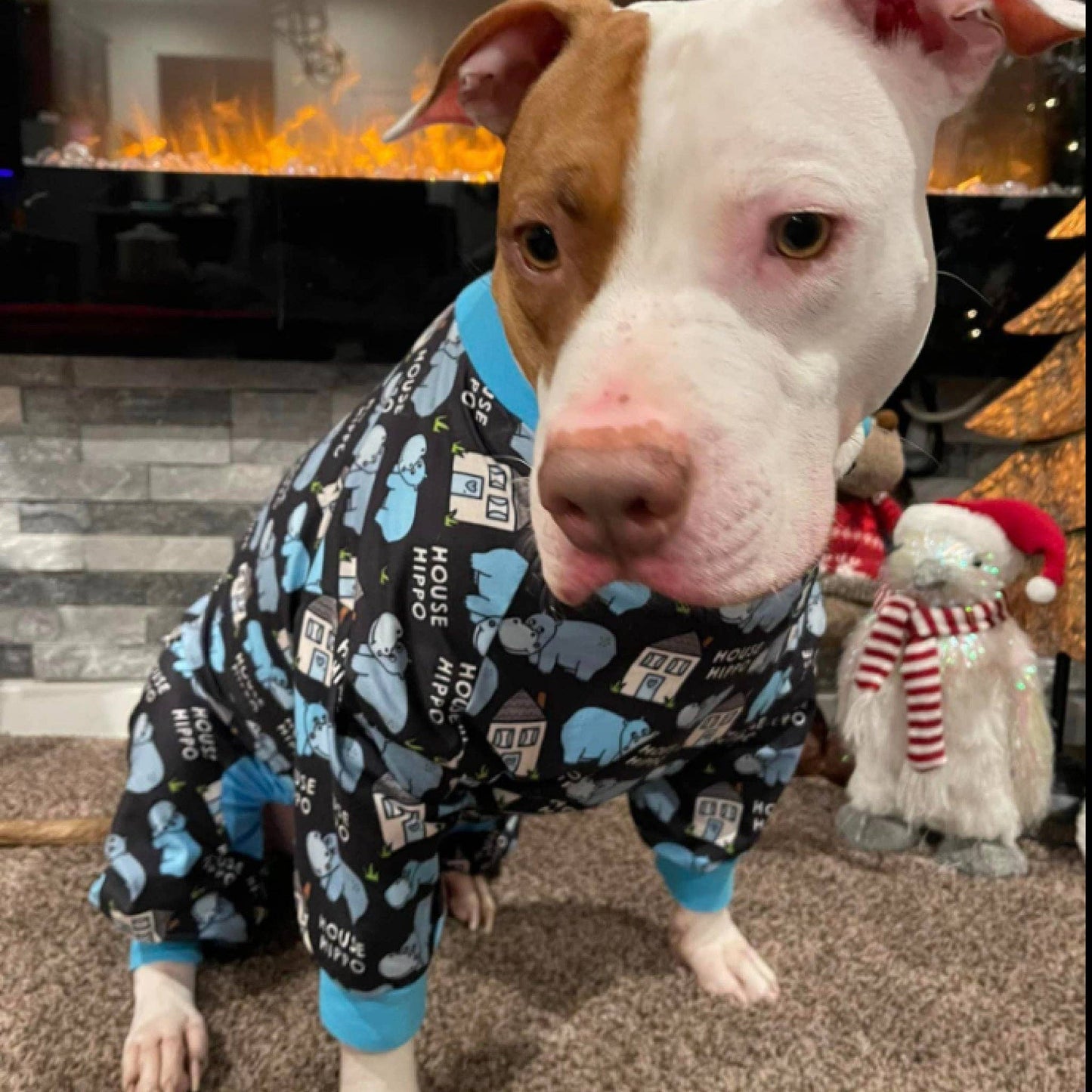 Pittypotamus Dog Pajamas – Black