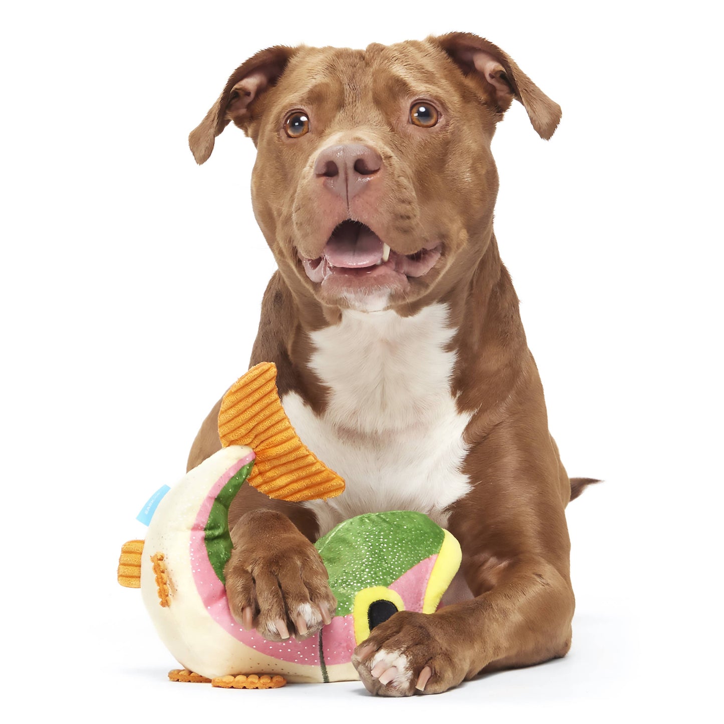 Brooke Trout Plush Dog Toy