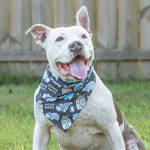 Pitty-potamus Dog Bandana – Classic Black